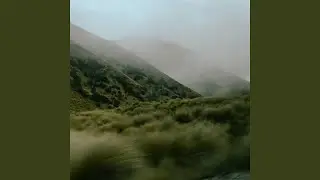 Dancing with the Breeze