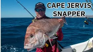Cape Jervis Snapper - South Australia
