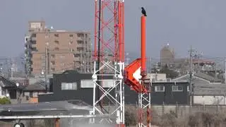 [速報 ] F -35A　12号機　三沢基地へ　さよなら小牧基地