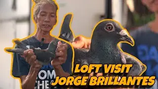 ONE OF VETERAN FANCIER NG STA ROSA LAGUNA