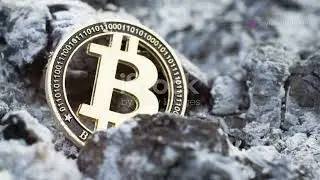 Bold move - Scorpion Casino burned 20 Million $SCORP token worth $205.000!!!!