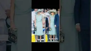 January Queen maxima marvelous mint green dresses Design #royalsfamily