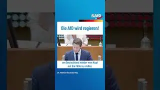 Die AfD wird regieren!
