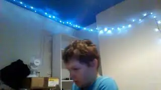 bully experiment 2