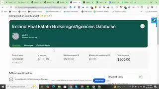 Freelancer Success Story 🌟