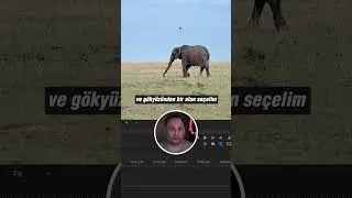 Kurguda Pratik Çözüm: Premiere Pro ile Arka Planı Anında Değiştirin!