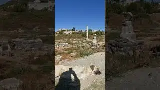 Dogs at the Ruins of the Temple of Artemis | Ancient Wonder of the World | T&uuml;rkiye 🇹🇷 Turkey