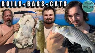 Lake Mead Multi-Species Adventure | Boat & Shore Fishing Striper Boils, Bass & Catfish! 2025