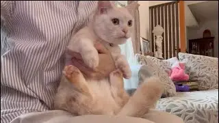 お爪を切ってお出かけ。お出かけ先は？
