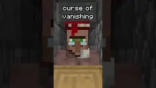 POV: You Trade With A Villager In Minecraft