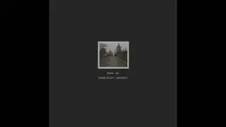 Stanislav Lavskyy - Insert (Original Mix)