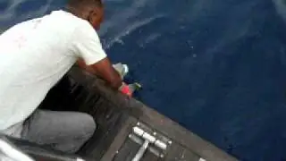red sea catch and release