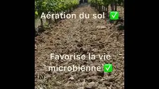 Travail du sol