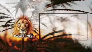 Živ&eacute; vysielanie použ&iacute;vateľa JUNGLE BOMBS
