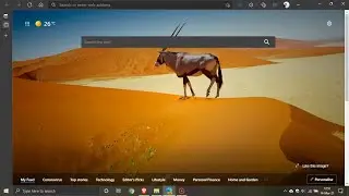Microsoft Edge Canary now lets you hide the title bar when using vertical tabs