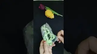 Meesho Korean Green Frog Hair Clutch/Claw under Rs.150 #meeshoapp #meesho #meeshofinds #unboxing
