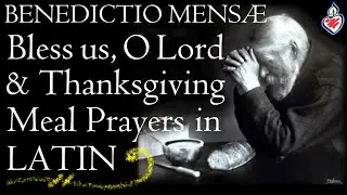 Benedictio Mensae : The Traditional 