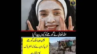 #WHY ALLAH CREATED DONKEY IN HINDI URDU || URDU DISCOVERY