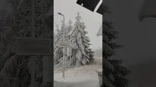 Чехія карлові вари