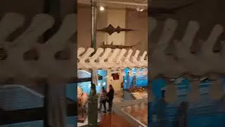 #planesconni&ntilde;os