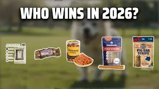 The Top 5 Best Butcher Shop Treats in 2026 - Must Watch Before Buying!