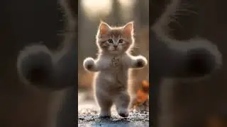 Cat Dance Motorcycle #cat #motorcycle #dance #catdance #trending