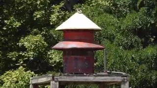 Federal Signal Model 5 | Attack and Alert | Camp Friedlander, Loveland, Clermont County, OH
