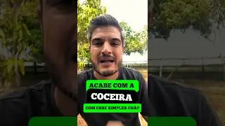DERMATITE EM CACHORRO PODE CURAR COM OR&Eacute;GANO PRODUTO NATURAL PARA TRATAR COCEIRA E FERIDAS DO C&Atilde;O