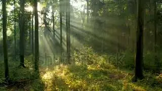 asxabtahy video cusub 🙋&zwj;♀️😂subscribers desilike 🧎