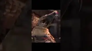 fallout rat