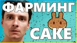 Запускаем ФАРМИНГ на DEX бирже PancakeSwap