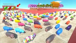 SPEED RACE TO EAT MANY COLORS HIPPO FUNNY HERO T-REX!🔥- Animal Revolt Battle Simulator
