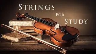 STRING Music 🎶 for STUDY 📚 | 2 Hour Ambience