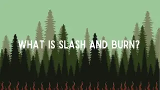 What is Slash and Burn?