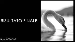 Come creare il filtro INKWELL di instagram con photoshop