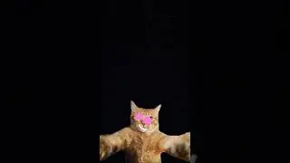 *!h?;-e₴*l'&p