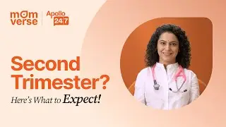 Second Trimester Guide | Symptoms, Baby Growth & Self-Care Tips