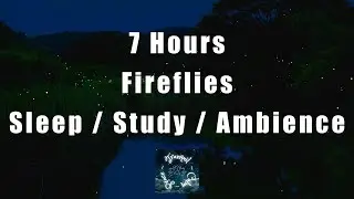 Nighttime Firefly Calm: 7-Hour Relaxing Nature Sounds for #Sleep, #Study, #Ambience and #EveningYoga