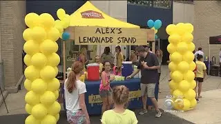 Penn Wynne Elementary School Holds Alex's Lemonade Stand To Fight Childhood Cancer
