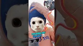 fielding set ho gai 🤡||#shorts#minivlog||DAY-318