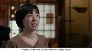 Meet our Authors from Japan &ndash; Scientific Reports