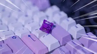 Akko CS Lavender Purple Switch Review | Best Entry Level Tactile Switch!