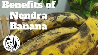 Benefits of Nendra Banana/ Nendrapazham| Highly Nutritious Indian Banana| Dr.Suneera
