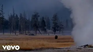 Adam Fink - Yellowstone (Official Music Video)