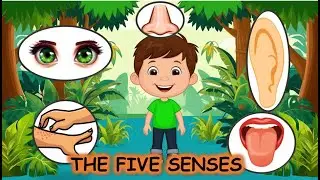 The Five Senses for Kids | Fun Science for Grades 1, 2, and 3