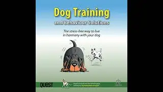 Dog Training and Behaviour Solutions: The stress-free way to live in harmony with your dog