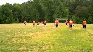 Terp Nation VS Buzzcocks