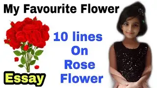 10 lines on Rose Flower || Essay On Rose Flower || My favourite flower Essay | Speech on Rose Flower