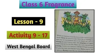 Class 6 English Fragrance Lesson 9 Activity 9 to 17 | Class 6 Fragrance Page No 141 to 145