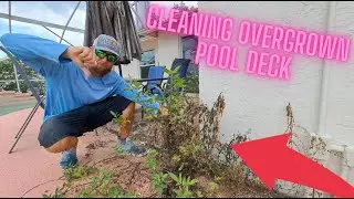 Epic Soft Washing & Pressure Cleaning&ndash; INSANELY Dirty Pool Deck & Screen Enclosure in Davenport, FL!